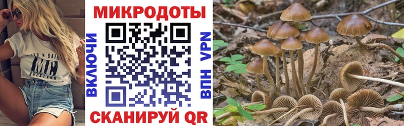 kraken рабочий сайт  Городище  Галлюциногенные грибы MAGIC MUSHROOMS  закладка 